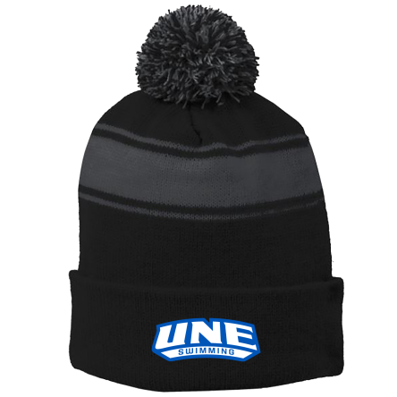 BLACK/Iron Grey Stripe Pom Beanie
