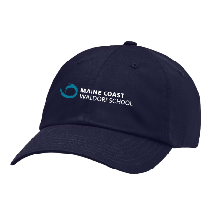 Under Armour NAVY ESSENTIAL Cap
