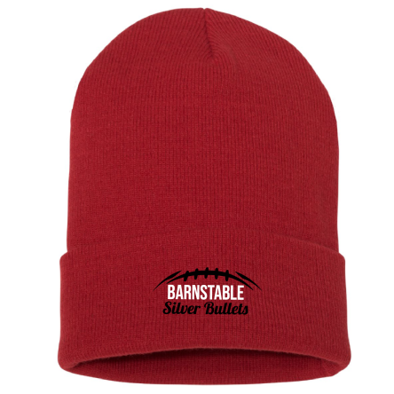 Classic CUFFED Knit BEANIE