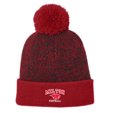 HALFTIME Pom Beanie