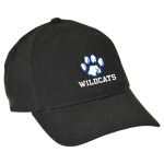 Garment Washed COTTON Twill Cap