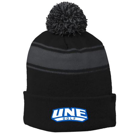 BLACK/Iron Grey Stripe Pom Beanie