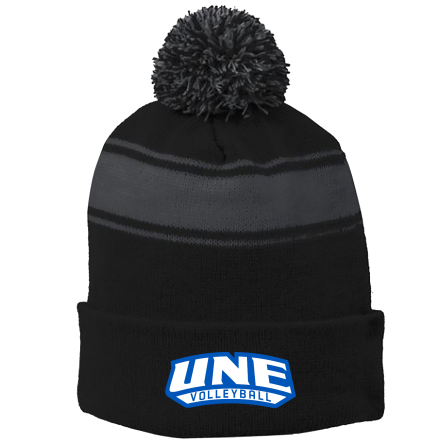 BLACK/Iron Grey Stripe Pom Beanie