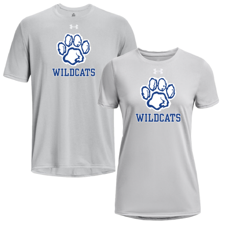 Under Armour Mod Grey SHORT Sleeve TECH Tee