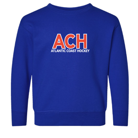 Classic TODDLER CREW SWEATSHIRT