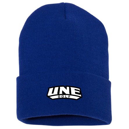 Classic CUFFED Knit BEANIE