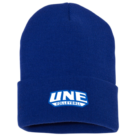 Classic CUFFED Knit BEANIE