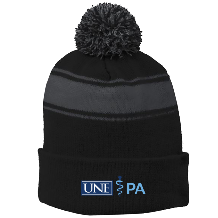 BLACK/Iron Grey Stripe Pom Beanie