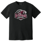 GARMENT-DYED Heavyweight SHORT SLEEVE Tee