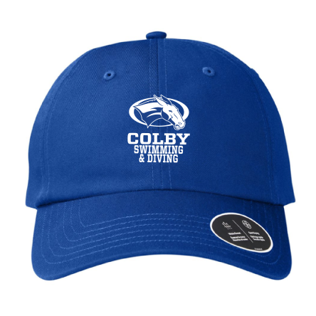 Under Armour CHINO Cap