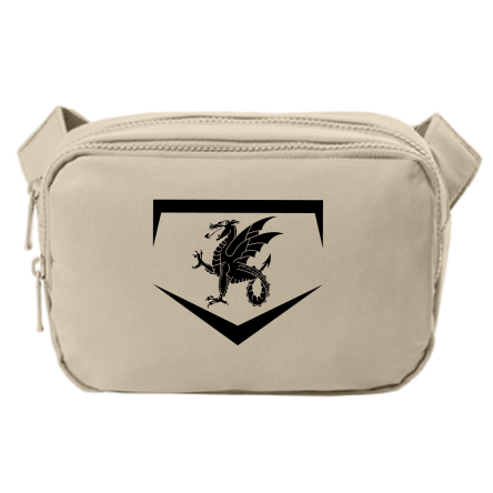 Duel Compartment CROSSBODY Bag