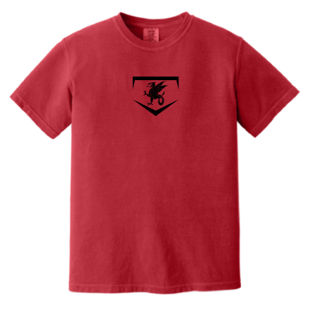 GARMENT-DYED Heavyweight SHORT SLEEVE Tee