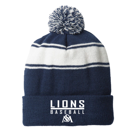 Striped Pom Beanie