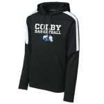 Striped Sleeve Performance Hoody