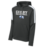 Striped Sleeve Performance Hoody