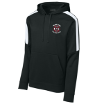 Striped Sleeve Performance Hoody