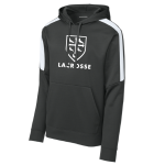 Striped Sleeve Performance Hoody