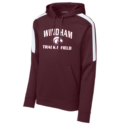 Striped Sleeve Performance Hoody