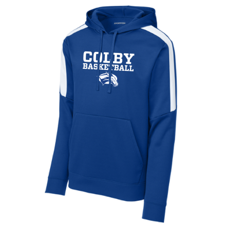 Striped Sleeve Performance Hoody