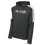 Striped Sleeve Performance Hoody