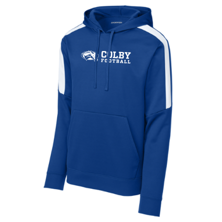 Striped Sleeve Performance Hoody