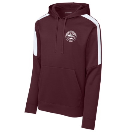 Striped Sleeve Performance Hoody