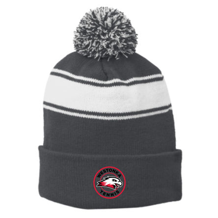Striped Pom Beanie