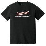 Garment-Dyed Heavyweight Tee