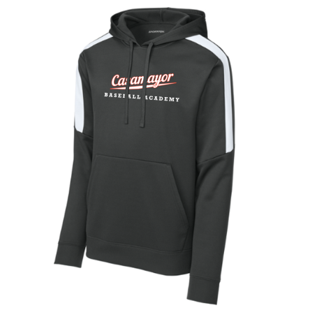 Striped Sleeve Performance Hoody
