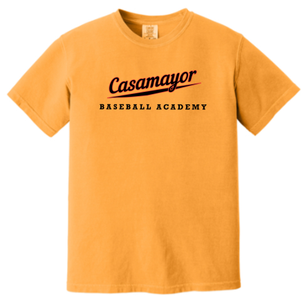 Garment-Dyed Heavyweight Tee