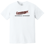 Garment-Dyed Heavyweight Tee