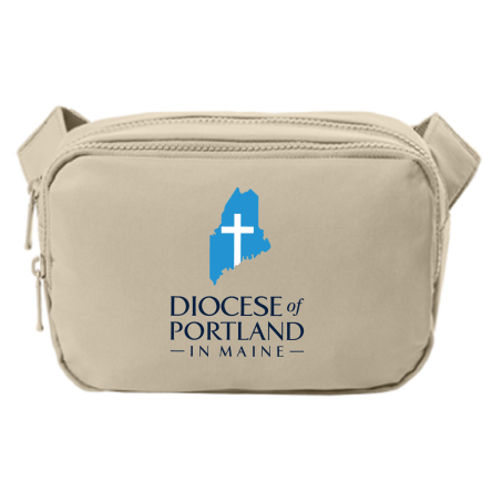 Dual Compartment Crossbody Bag