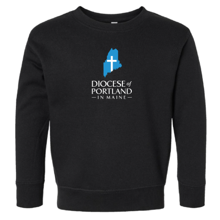 Classic Toddler Crew Sweatshirt