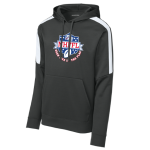 Striped Sleeve Performance Hoody