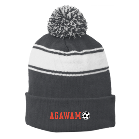Striped Pom Beanie