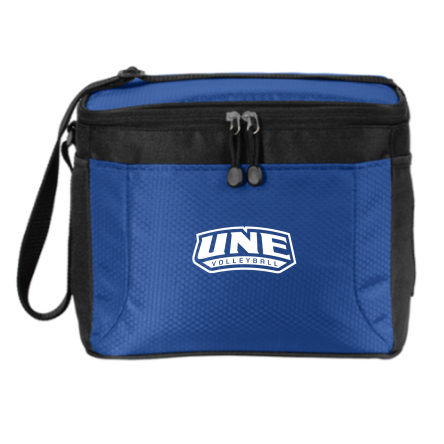 12-Can Cube Cooler