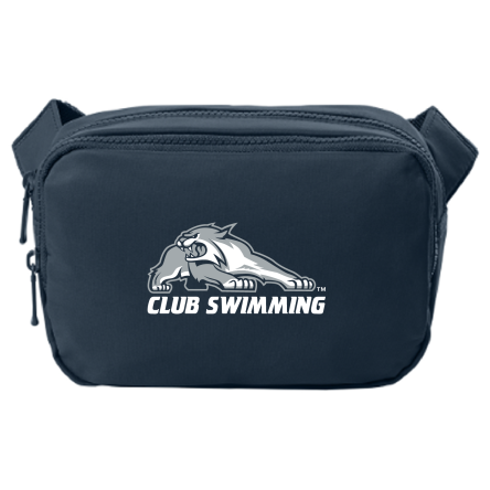 Dual Compartment Crossbody Bag