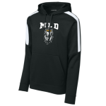 Striped Sleeve Performance Hoody