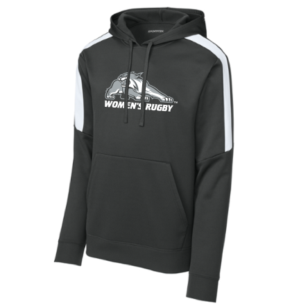 Striped Sleeve Performance Hoody