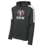 Striped Sleeve Performance Hoody