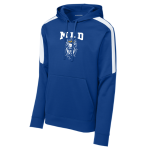 Striped Sleeve Performance Hoody
