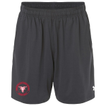 Under Armour Tech Vent Grey Short with Pockets – TEXT LOGO