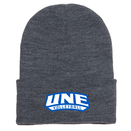 Classic Cuffed Knit Beanie